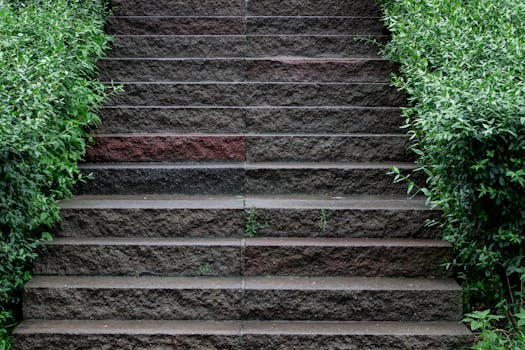 Začínáme s Zahradničením: Vytvořte Záhon Krok za Krokem